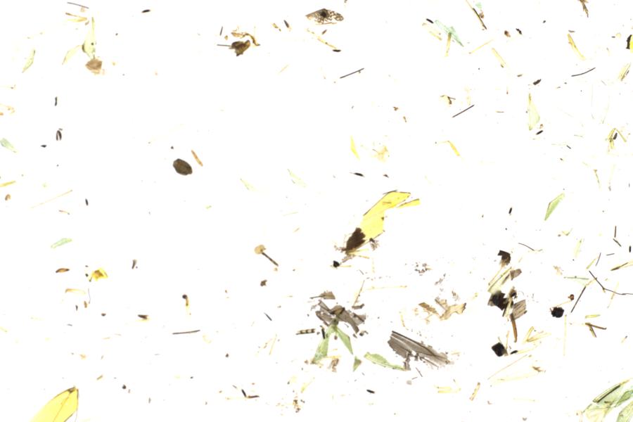 Image 33
